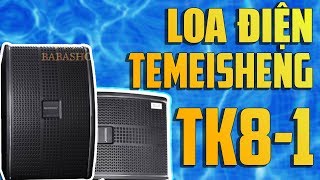 Loa Karaoke Gia Đình Cao Cấp || Temeisheng TK8-1