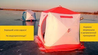 Цимлянское ВДХР 19.02.2019г  Карась, МОРМЫШ, мотыль!