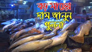 খুলনায় মাছের বড় বাজার | নদী-ঘের-সমুদ্রের বড় মাছ | Big  Fish Price | Khulna Fish Market | Banglarmukh