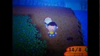 Animal Crossing Special: Taranteln / Skorpione und besondere Fische & Insekten ~ Teil 2