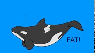 Orca vore dragon [no sound]