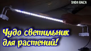 СВЕТОДИОДНЫЙ СВЕТИЛЬНИК ДЛЯ АКВАРИУМА SUNSUN ИЗ КИТАЯ! ОБЗОР, ТЕСТ, МОНТИРОВАНИЕ В КРЫШКУ, СРАВНЕНИЕ