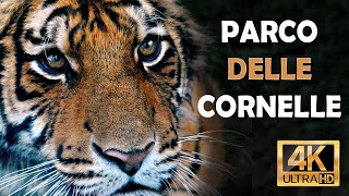 Parco delle Cornelle 4k ultra hd