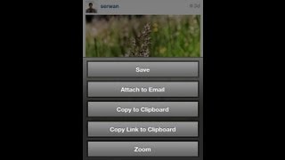 How To Save Instagram Photos On iPhone