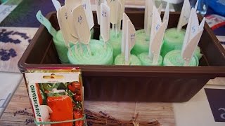 Сеем ПЕРЦЫ в Самокрутку  ЧАСТЬ, 1