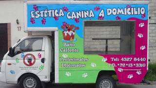 Como Abrir un Negocio de Estetica Canina Movil - Guia de Negocio para Estetica Canina Movil