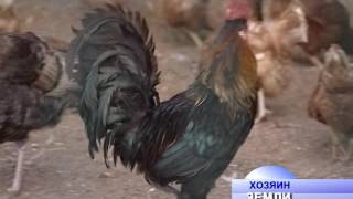 Фермерское хозяйство Юрко, Московская обл., Дмитровский р-н