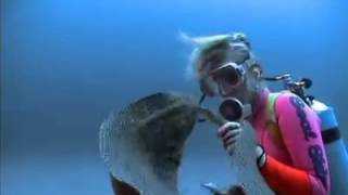 МОРСКАЯ МУРЕНА. САМЫЙ ОПАСНЫЙ ХИЩНИК В МОРЕ!!!