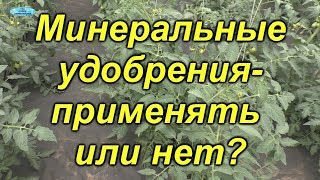 Минеральное питание для томатов- благо или вред?