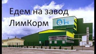 Как делают сухой корм для животных? Экскурсия на Шебекинский завод