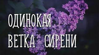 ОДИНОКАЯ ВЕТКА СИРЕНИ / Разбор на гармони