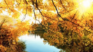 10 Hours of Relaxation, Positive Energy Music, Stress Relief, Relaxing Music