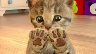 Ми-ми-мишки / Маленький мимишный КОТЕНОК в развлекательном видео для детей #ПУРУМЧАТА