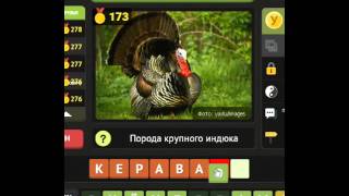 ОТВЕТЫ игра УНИКУМ. 171, 172, 173, 174, 175 уровень. Одноклассники.