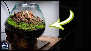 Wabikusa mit Waldmoos | AquaOwner