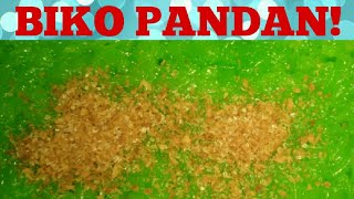 How to cook BIKO PANDAN