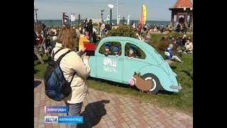 В Зеленоградске проходит рыбный фестиваль «Фиштиваль»
