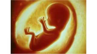 Overweeg je Abortus? Kijk dit filmpje voor hulp