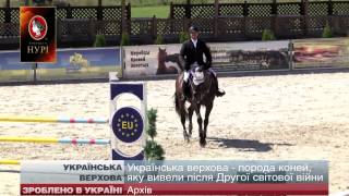 Зроблено в Україні: Українська верхова