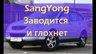SsangYong заводится и глохнет