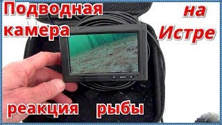 Тест самодельной подводной камеры на водоёме. Реакция рыбы на приманки.