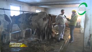 Instalarea tinerilor fermieri cu fonduri europene