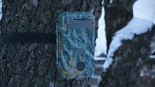 Бюджетная фотоловушка BlackMix DC1004, проверяем на практике