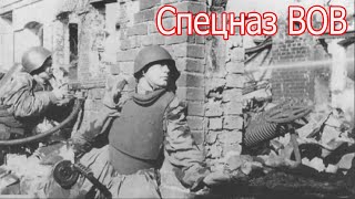 Они резали немцев. Лютый спецназ , партизаны  великой отечественной войны . военные истории