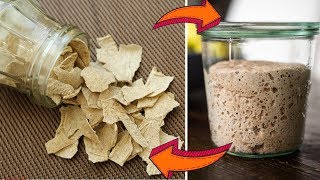 Сухая ржаная закваска: Как высушить закваску и восстановить после сушки / ДЛИТЕЛЬНОЕ ХРАНЕНИЕ
