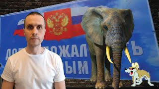 Украинский посол в Германии поспорил из-за Крыма