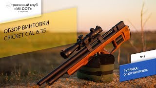 Обзор винтовки Cricket cal 6.35