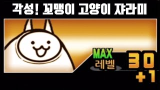 [모바일게임] 냥코대전쟁 각성한 꼬맹이 거신 고양이의 습격! - 꼬맹이 거신 고양이 진화로의 길 극난도