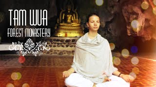 Я ПРОЖИЛА ПЯТЬ ДНЕЙ В БУДДИЙСКОМ МОНАСТЫРЕ Там Вуа, Тайланд / Tam Wua Forest Mnastery