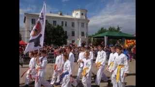 Парад на день города Родники 2014
