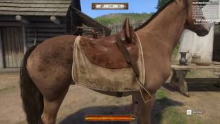 Robbaz Twitch Stream 010817: Kingdom Come: Deliverance
