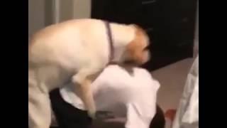 Собака трахает мужика. Жесть.