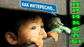 ПРИКОЛЫ | СМЕШНЫЕ КОШКИ И ДЕТИ | Приколы про милых котов, детей, смех до слез