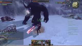 Raiderz Viva lvl 40 Solo Berserker