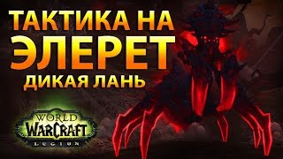 WoW Legion: Тактика на Элерет (ИК 3/7)