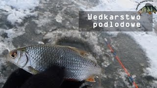 Wędkarstwo podlodowe | Pierwszy lód, jak łowić na mormyszkę ? Techniki i porady.