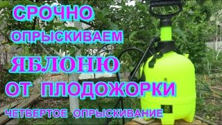 СРОЧНО ОПРЫСКИВАЕМ ЯБЛОНЮ -после цветения от плодожорки    URGENTLY SPRAY JABLOON