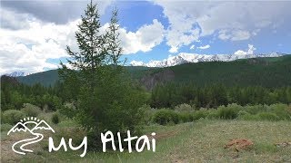 Горный Алтай. Берег реки Чуя с видом на вершину Актуру (Актру)