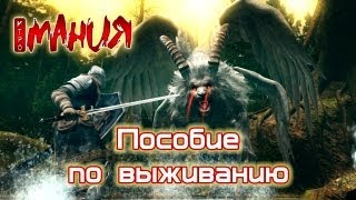 ➤ Dark Souls - Пособие по выживанию