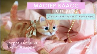 Валяные игрушки. Реалистичный  котенок из шерсти. Мастер класс (АНОНС).
