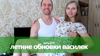 ЛЕТНИЕ ОБНОВКИ ВАСИЛЕК Ивановский трикотаж