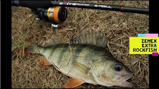 РОКФИШИНГ ОСЕНЬЮ. ZEMEX EXSTRA ROCKFISH