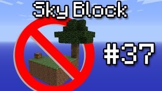 [Minecraft] Sky Block #37 - The Stronghold