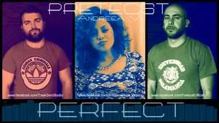 Pretecst feat. Andreea V. - Perfect (Official Song