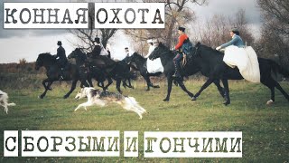 = Конная охота с борзыми и гончими/Russian hunting with borzois and hounds/5.10.19 =