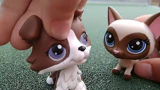 LPS - ÚKOLY #4